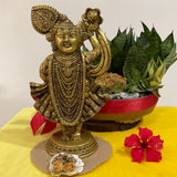 Lord Shrinathji Brass Idol - Crafts N Chisel - Indian Home Decor USA