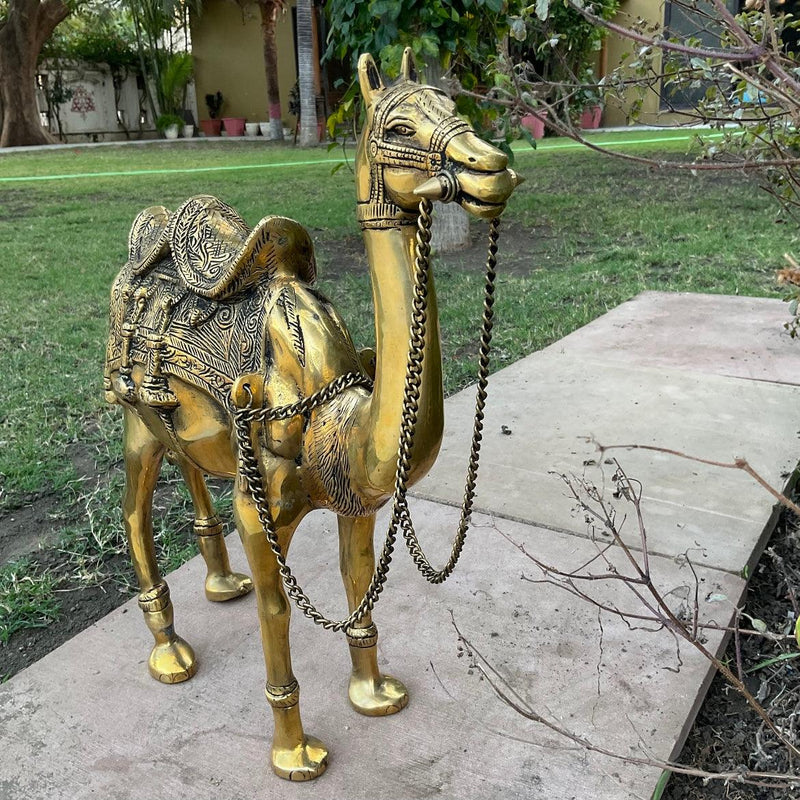 Brass Decorative Camel - Handmade Home Decor - Gift Item - Crafts N Chisel - Indian Home Decor USA