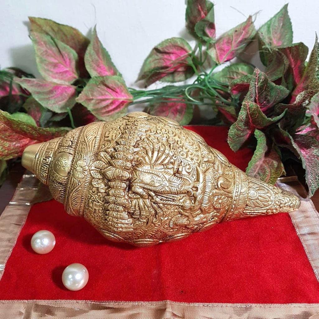 Brass Conch Shell (Shank), Collectible Home Decor